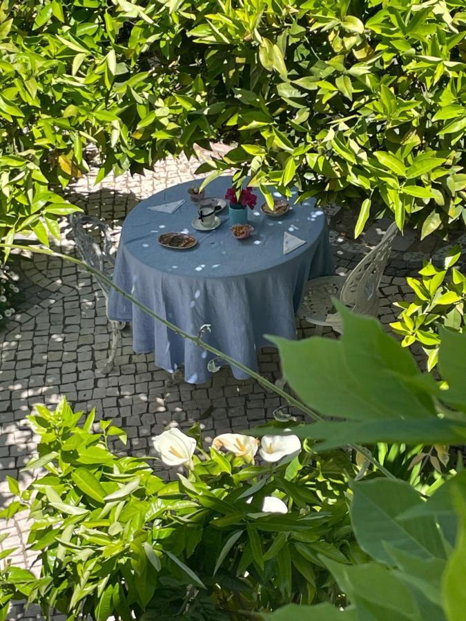 Palacete Encanto Maior カンポ・マイオル エクステリア 写真